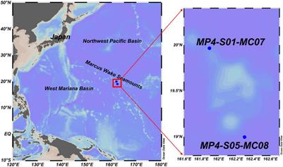 210Pb-Derived Bioturbation Rates in Sediments Around Seamounts in the Tropical Northwest Pacific